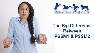 The Big Difference Between PSSM1 & PSSM2 (MIM)