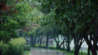 Nature's Symphony: Rainy Walk ASMR with Heavy Raindrops