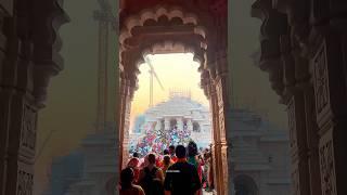 Ayodhya Ram mandir | Ram Lala  #shorts #ayodhya #rammandir #ayodhyavibes