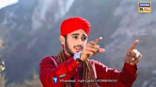 Abbas  Teray Dar Sa Duniya Main Dar Kahan   Muhammad Aqib Qadri New Naat Album 2016  DJ MUZAFFAR