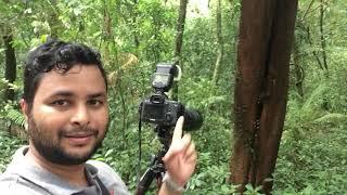 Bird Photography |Tracking Malabar Trogons!!