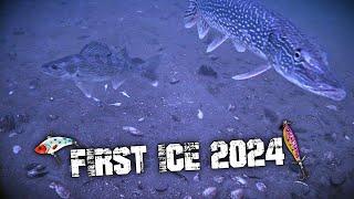 Early Ice Walleye Fishing 2024 (Underwater Footage)