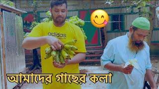 দেশে আসার মজাই আলাদা গাছ পাকনা কলা / আমাদের নিজের গাছের কলা খেলাম আজকেMamon On The Go Bangla..