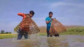 Village Ponds In Amazing Fish Catching | Amazing Polo Fishing | Mr Fun Box 40