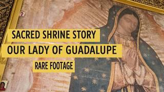 The Story of Our Lady of Guadalupe - Sacred Tepeyac Hill & 500-Year Miracle Revealed | Rare Footage