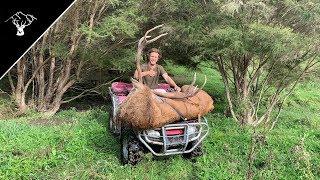 Red Stag Roar NZ Part 2 2019 'Gentlemans Hunting'