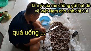 416. Nhận được thùng hạt dẻ Của Nhi từ Trung Quốc gửi về, quá tiếc vì vỏ bên ngoài bị móc hết .