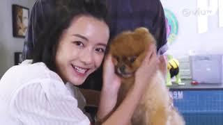 【ViuTV 今晚瞓酒店 - 第6集毛孩篇】@ PRIVATE i PETS │ 寵物美容店