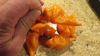 Habanada Peppers