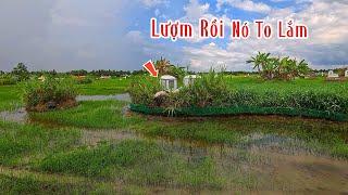 Tới Lui Liên Tục Cũng Phải Bắt Được Thôi | Mười Thương Săn Bắt