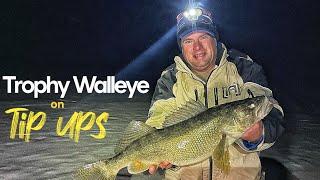 Trophy Walleye on Tip Ups