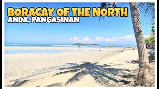 Boracay of the North - Tondol white sand beach, Anda, Pangasinan