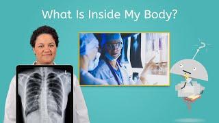 What Is Inside My Body? - Science All Around Me for Kids!