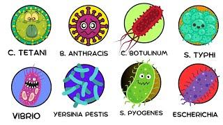 Every DEADLIEST Bacteria Explained in 10 Minutes