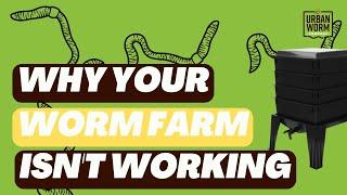 Coffee & Compost: Why Your Stackable Worm Farm Isn't Working