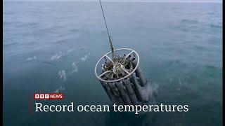 Oceans have hit the highest ever recorded temperature (Global)