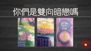 【坦白局】你們是雙向暗戀/喜歡？他對你有什麽心思想法？ |曖昧|愛情|感情|桃花|塔羅占卜|