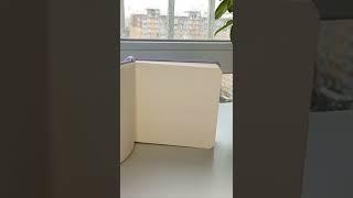 Арт азиатские девушки оригинальный звук friendly.noodles