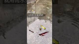 下雨天，就用雨水畫漣漪吧！零技巧！輕鬆畫/彩色筆也能很唯美/創意畫水彩渲染/果果美術/QuoQuoArt/watercolor/ripple/colour pencil/rainy/painting