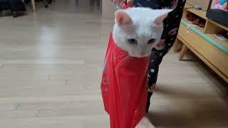 명품 나랑쓰