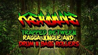 Trapped between Ragga Jungle and Drum & Bass Rollers - Ragga Jungle Drum and Bass Rollers Mix