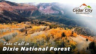 Find Adventure in Dixie National Forest | Cedar City & Brian Head, UT