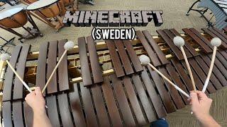 Cool Video Game Music on A Lot of Different Instruments!