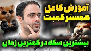 سکه های بیشتر در همستر کمبت با بالا بردن چه کارت هایی بدست میاد؟ ( راز جایزه‌های ۵ میلیونی...)