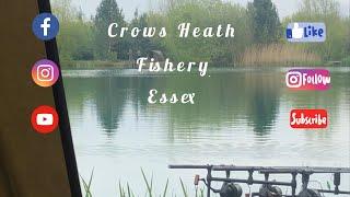 A tough tough 48 hours at  crows-Heath fishery