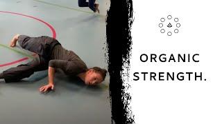 Organic Strength - Amsterdam Movement Practice