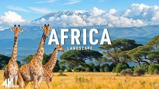 AFRICA 4K • Breathtaking Wildlife - Relaxation Film - Nature 4K Video UltraHD