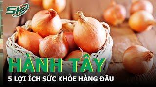 5 Lợi Ích Sức Khỏe Hàng Đầu Của Hành Tây I SKĐS