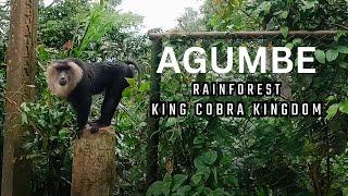 Agumbe Rainforest: The Ultimate King Cobra's Kingdom | EP-4 | 4K