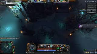 Dota 2 vision bug?