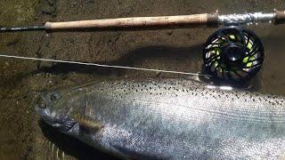 캐나다 킹연어 플라이 낚시, fly fishing for king salmon, Vancouver Island, Canada