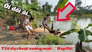 7 Lé Dụ Chuột Linh Sơn xuống nước để …”Đạp Dịt “