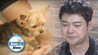 Jun Hyun Moo "I think I can meet my dog again when I die" [Home Alone Ep 243]