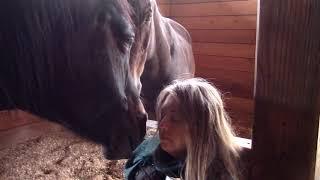 Heart Connection Through Horses