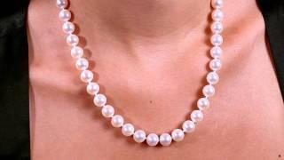 White Freshwater Pearl Necklace, 9.5-10.5mm by Pure Pearls