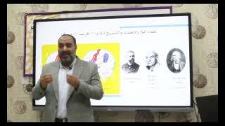  الحلقة الأولى من الدورة التدريبية + الملف الذكي "كاشف المهارات" للصف الأول الابتدائي