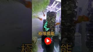 1分鐘獲得水妖精的極限威能