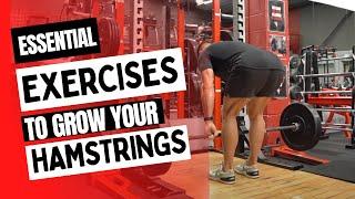 Essential Exercises to Grow Your Hamstrings | The Fitness Maverick