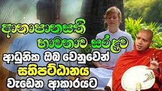 ආනාපානසති භාවනාව සරළව.Hasalaka Seelawimala Thero.හසලක සීලවිමල හිමි.