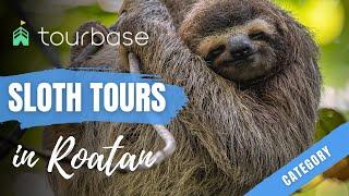 Roatan Tourbase - Sloth Category