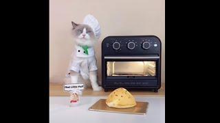 Comfee | The Oven Toaster Puff Loves!