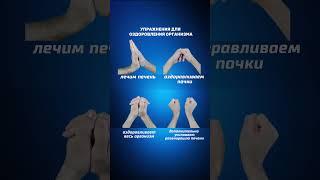УПРАЖНЕНИЯ ОЗДОРАВЛИВАЮЩИЕ ВЕСЬ ОРГАНИЗМ