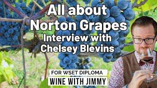 Norton: The Forgotten Virginia Grape  | Chelsey Blevins from 53rd Winery & Vineyard