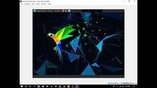 How to download parrot security  file on virtual box and how to install it.