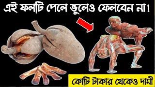 ফলটির মধ্যে লুকিয়ে আছে গোপন কাজ ! পাবেন বাড়ির পাশেই, মেহগনি গাছের ফলের উপকারিতা