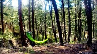 Sea To Summit Pro Hammock: Incredibly easy to set up